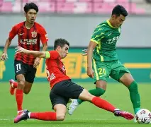 爱游戏-雪豹全集40集经典